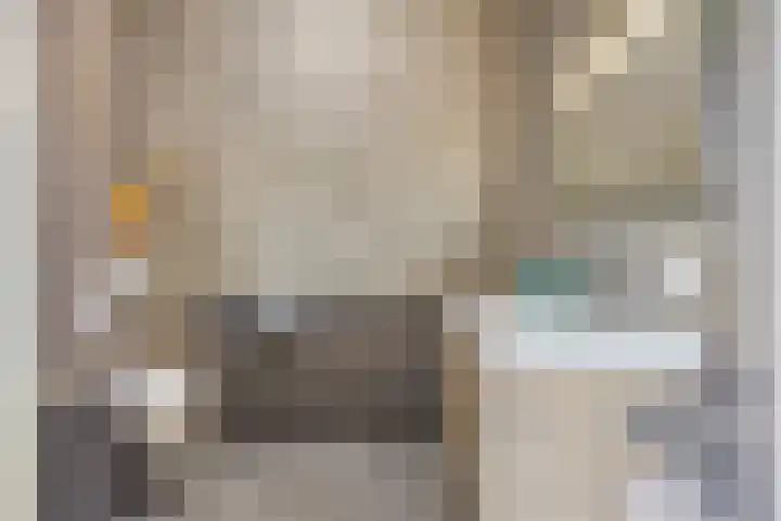De Scheifelaar 307 Veghel thumbnail 23