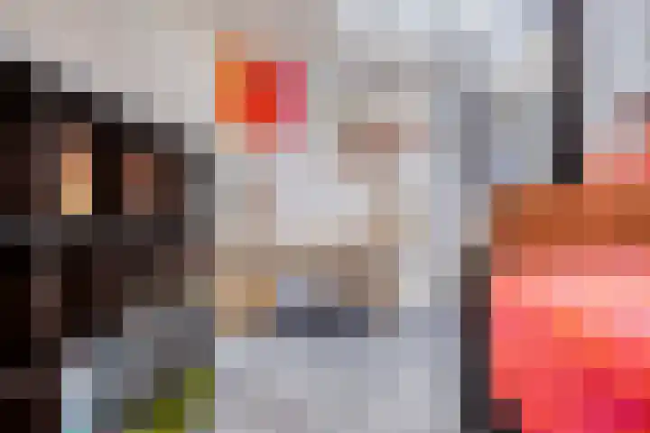 De Scheifelaar 307 Veghel thumbnail 26
