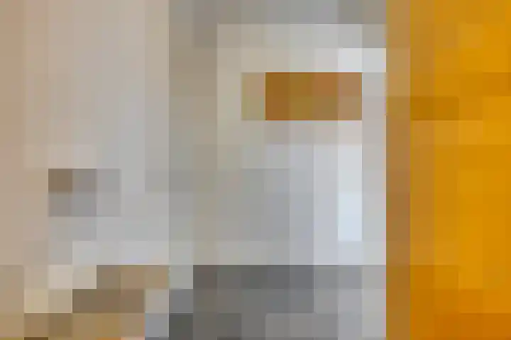 De Scheifelaar 307 Veghel thumbnail 29