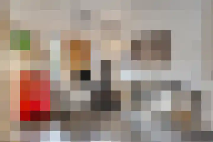 De Scheifelaar 307 Veghel thumbnail 31
