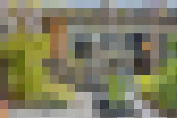 De Scheifelaar 307 Veghel thumbnail 35