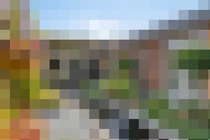 De Scheifelaar 307 Veghel thumbnail 39