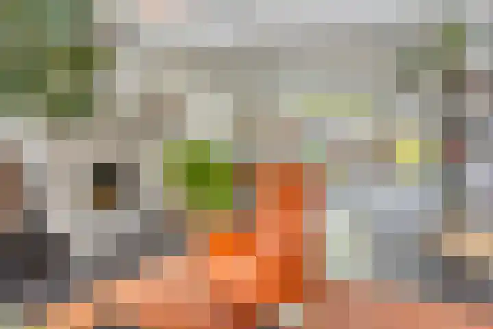 De Scheifelaar 307 Veghel thumbnail 7