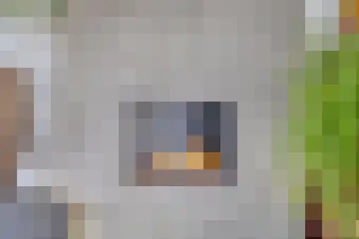 De Scheifelaar 307 Veghel thumbnail 9
