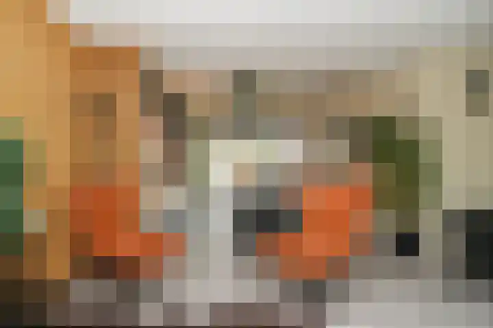 De Scheifelaar 335 Veghel thumbnail 11