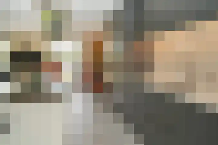 De Scheifelaar 335 Veghel thumbnail 13