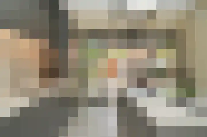 De Scheifelaar 335 Veghel thumbnail 17