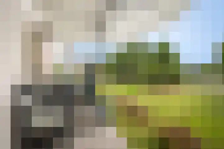 De Scheifelaar 335 Veghel thumbnail 18
