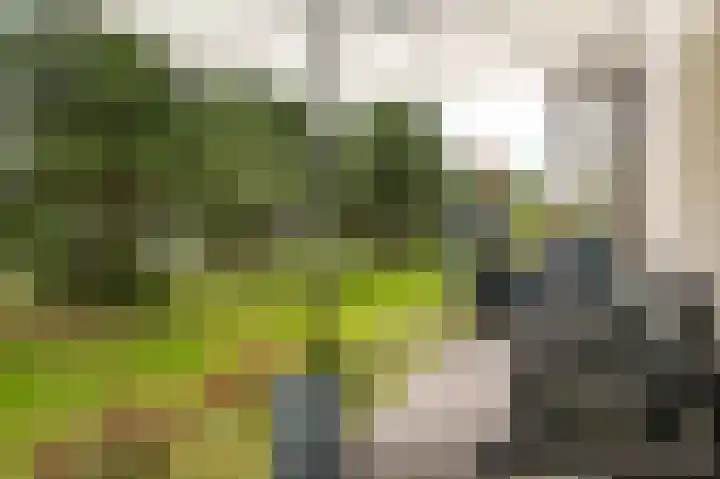 De Scheifelaar 335 Veghel thumbnail 19