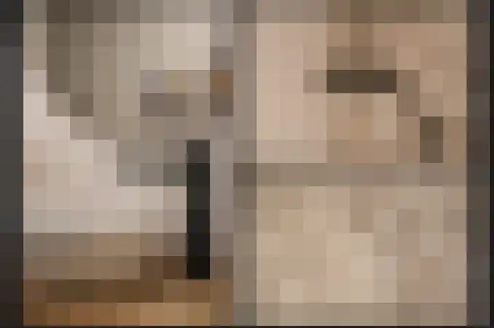 De Scheifelaar 335 Veghel thumbnail 25