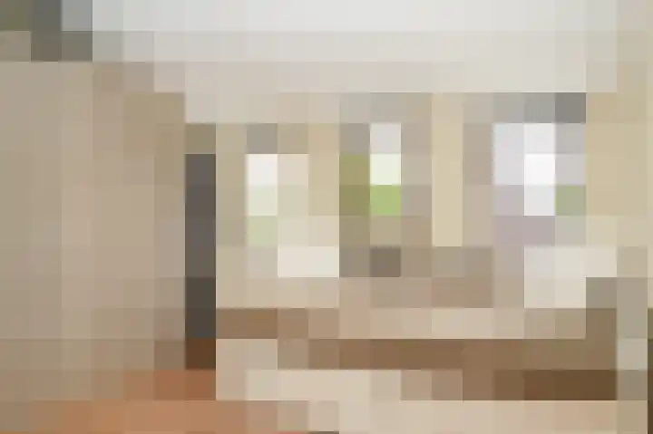 De Scheifelaar 335 Veghel thumbnail 27