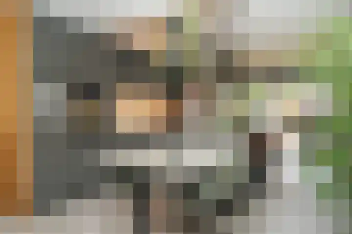 De Scheifelaar 335 Veghel foto 3