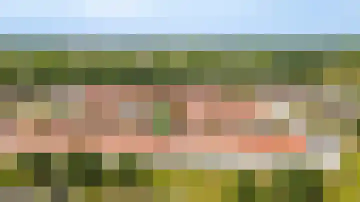 De Scheifelaar 335 Veghel thumbnail 41