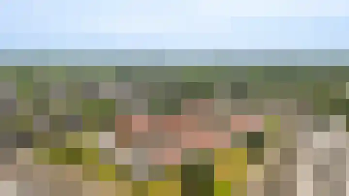 De Scheifelaar 335 Veghel thumbnail 43