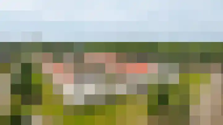 De Scheifelaar 335 Veghel thumbnail 6