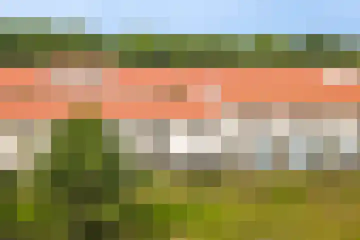 De Scheifelaar 335 Veghel thumbnail 7