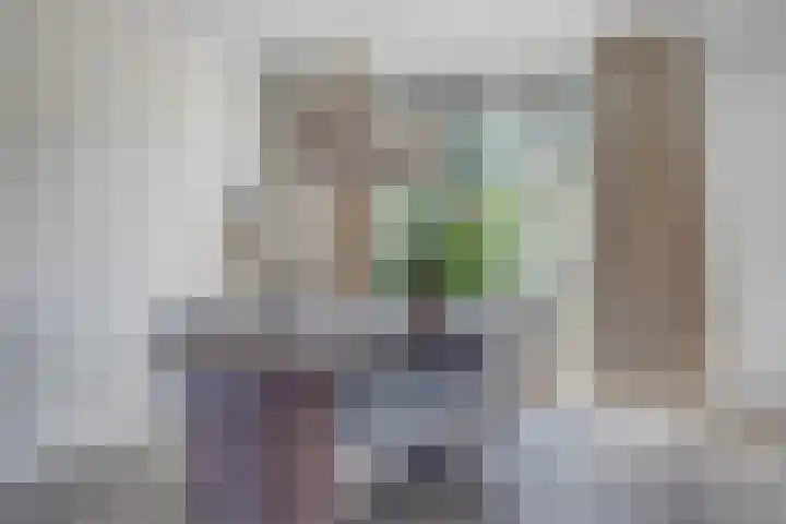 De Scheifelaar 352 Veghel thumbnail 10