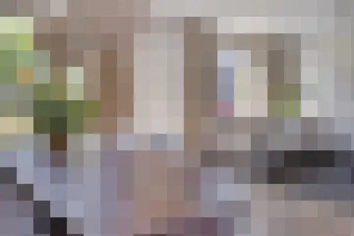 De Scheifelaar 352 Veghel thumbnail 11