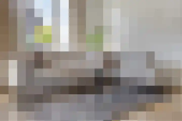 De Scheifelaar 352 Veghel thumbnail 14