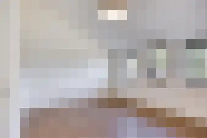 De Scheifelaar 352 Veghel thumbnail 21