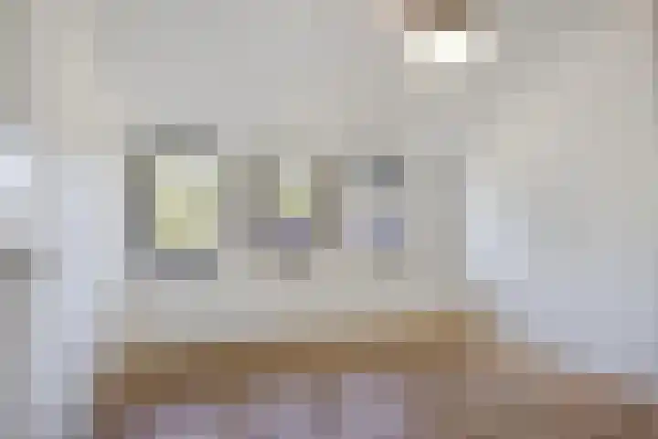 De Scheifelaar 352 Veghel thumbnail 23