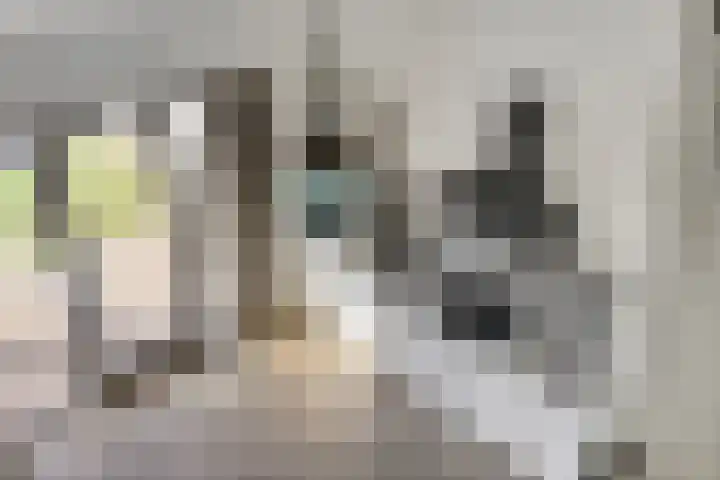 De Scheifelaar 352 Veghel thumbnail 25