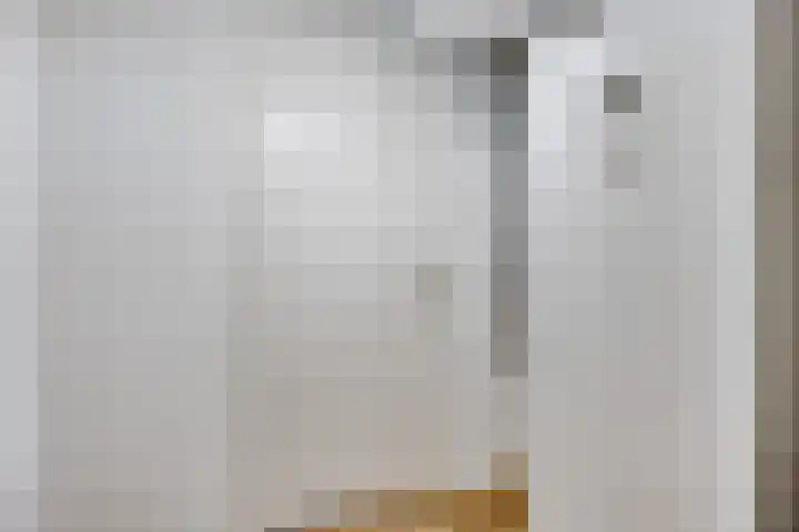 De Scheifelaar 352 Veghel thumbnail 27