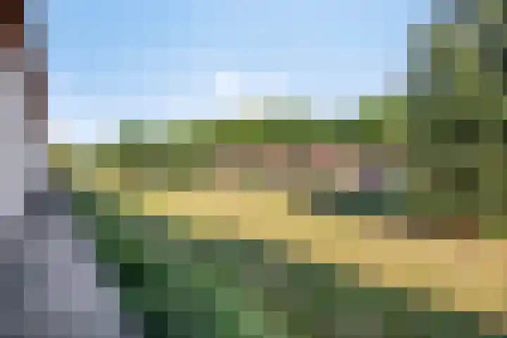 De Scheifelaar 352 Veghel thumbnail 30