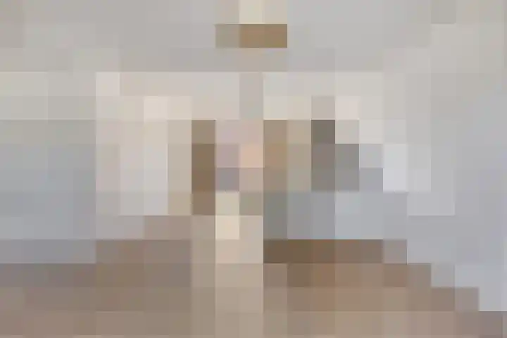 De Scheifelaar 352 Veghel thumbnail 7