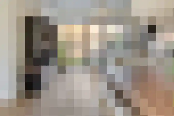 De Scheifelaar 352 Veghel thumbnail 8