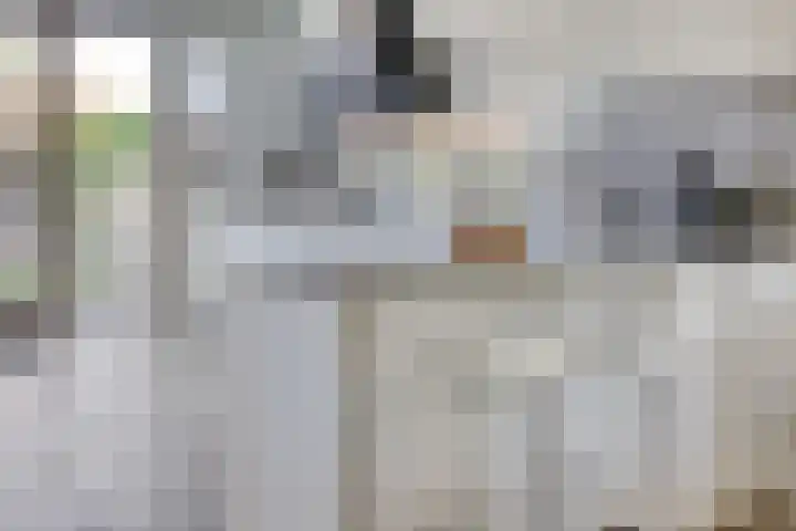 De Scheifelaar 352 Veghel thumbnail 9