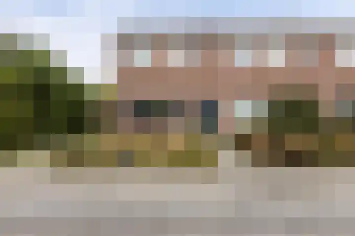 De Schelp 10 Holwierde