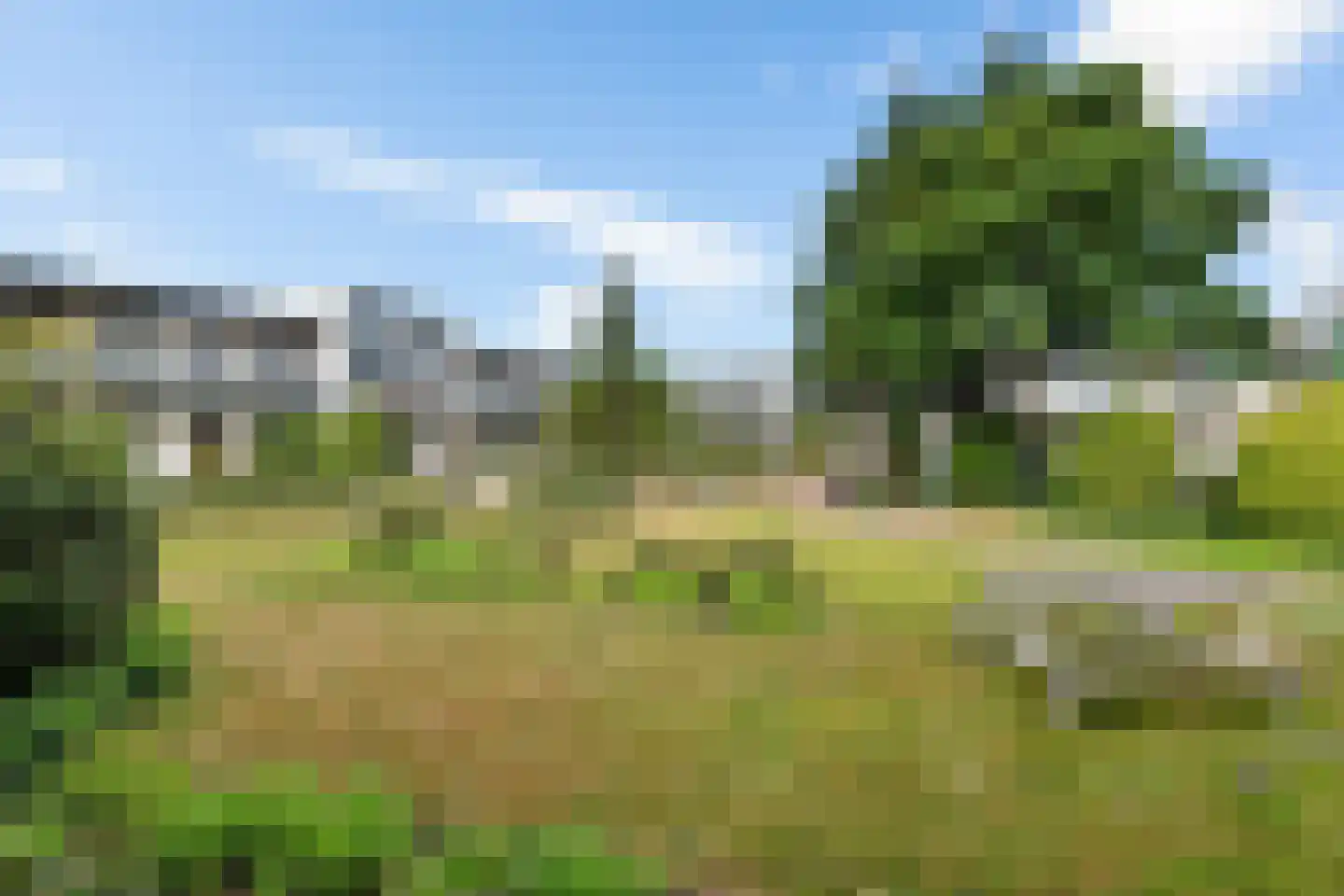 De Schelp 14 Zandvoort thumbnail 21
