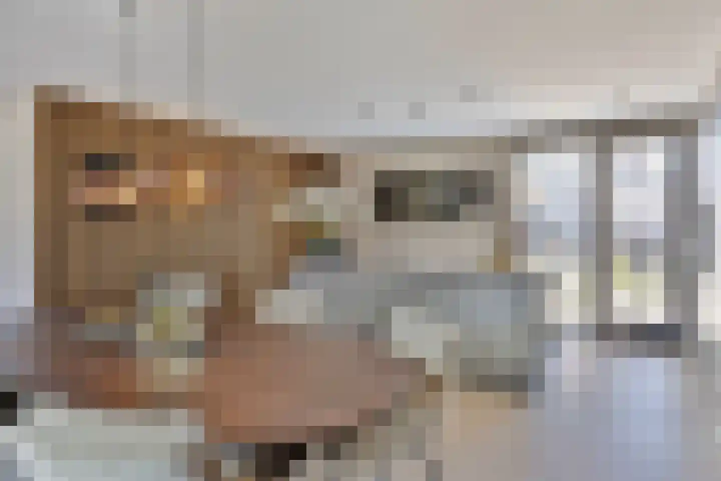 De Schelp 17 Zeewolde thumbnail 15
