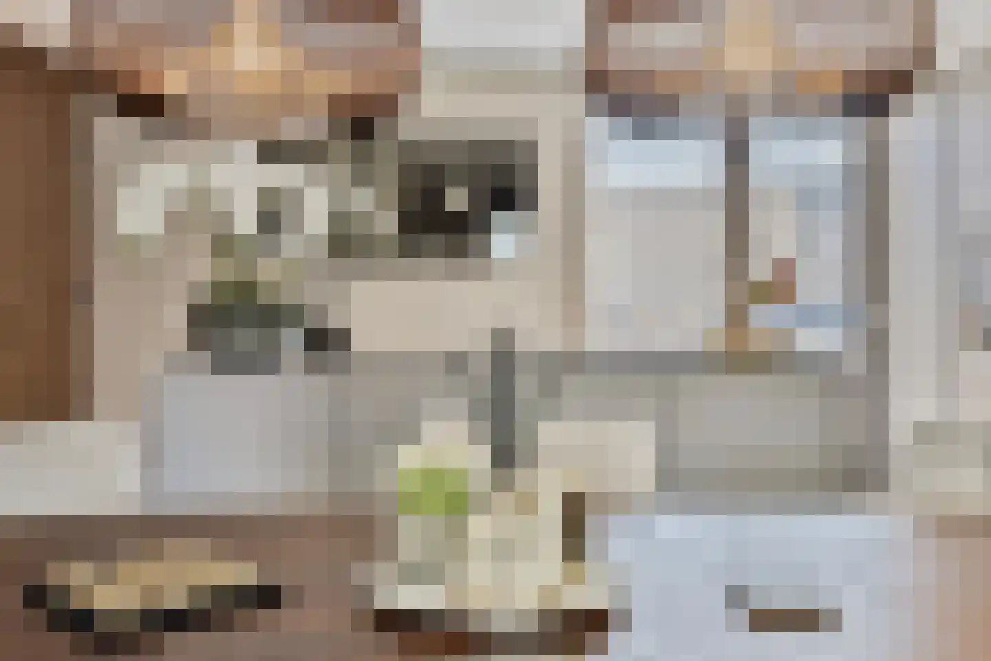 De Schelp 17 Zeewolde thumbnail 18