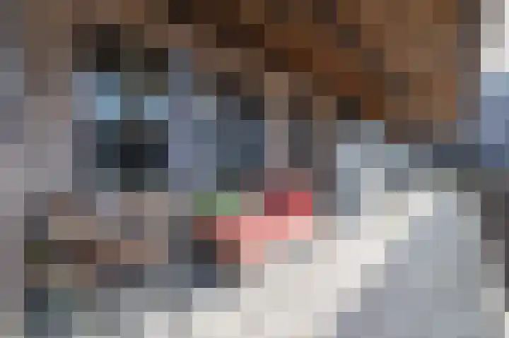 De Schelp 23 Zeewolde thumbnail 7