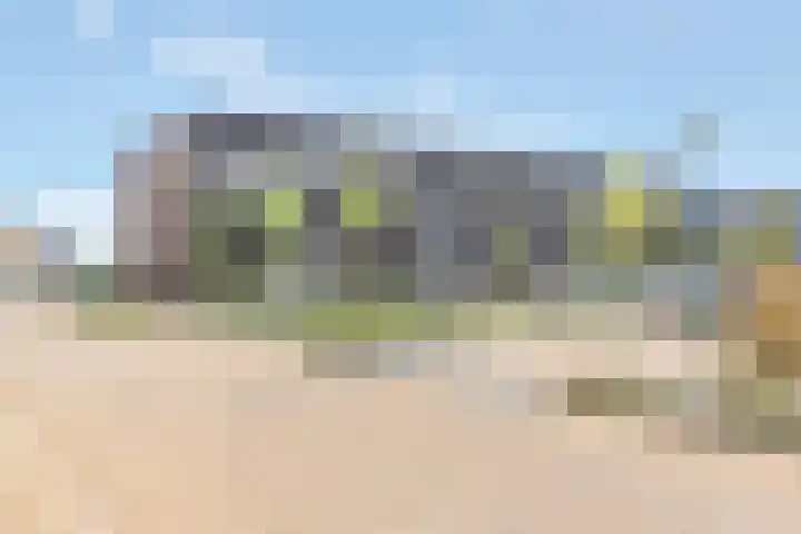 De Schelp 41 Zeewolde