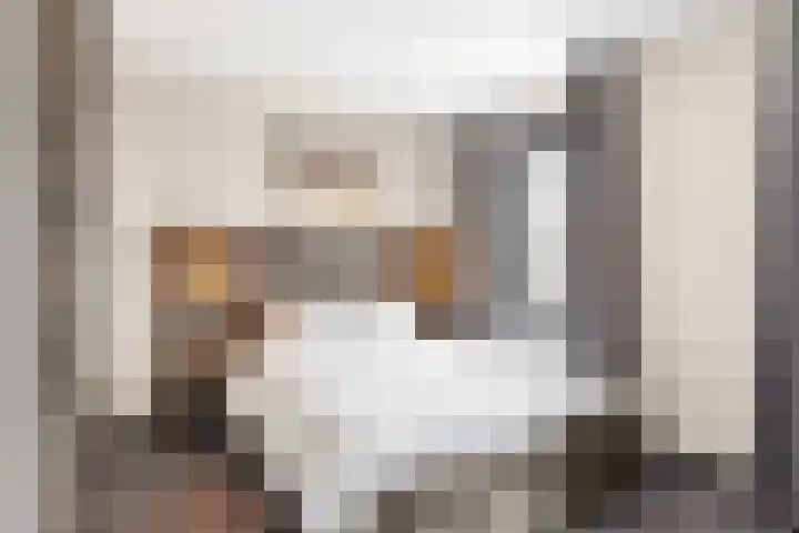 De Schelp 41 Zeewolde thumbnail 19