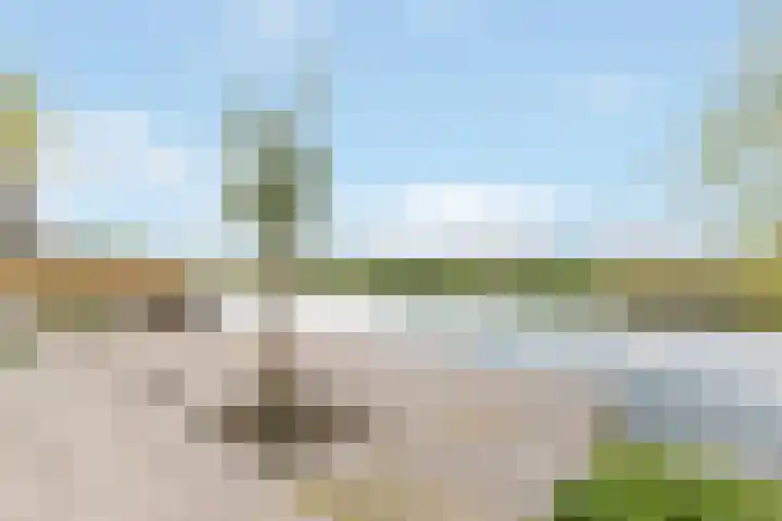 De Schelp 41 Zeewolde thumbnail 31