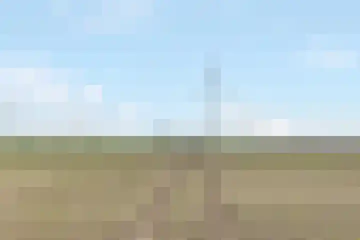De Schelp 41 Zeewolde thumbnail 35