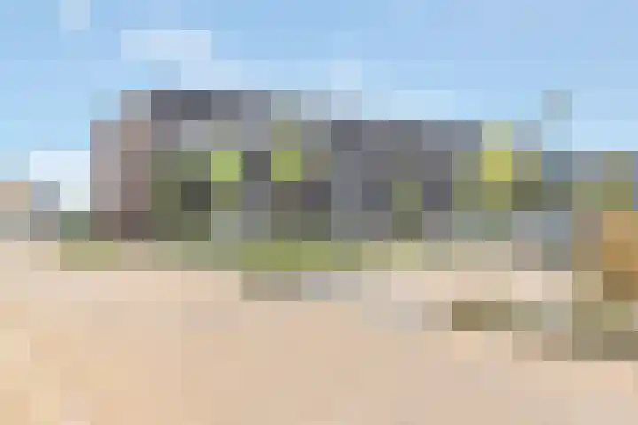 De Schelp 41 Zeewolde thumbnail 39