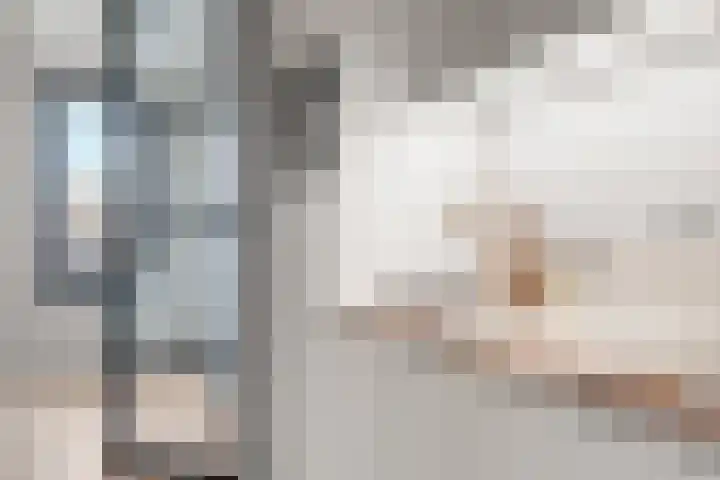 De Schelp 43 Zeewolde thumbnail 20