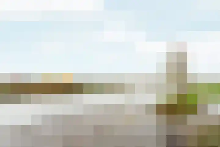 De Schelp 43 Zeewolde thumbnail 29