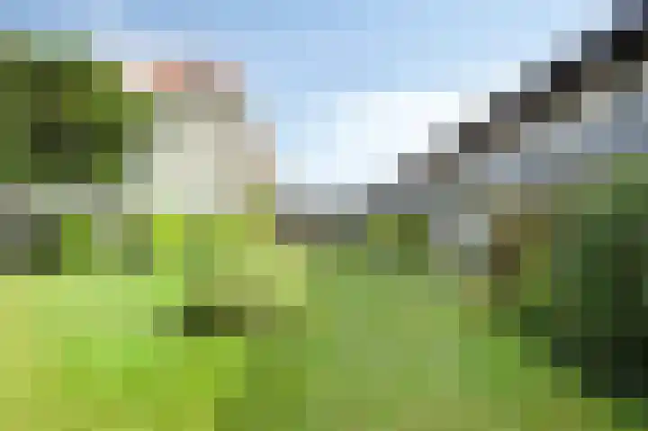 De Schelp 88 Zandvoort thumbnail 17