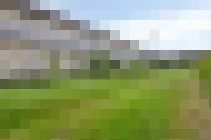 De Schelp 88 Zandvoort thumbnail 18