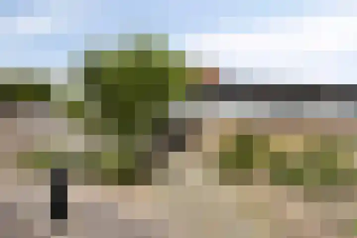 De Schelp 88 Zandvoort thumbnail 21