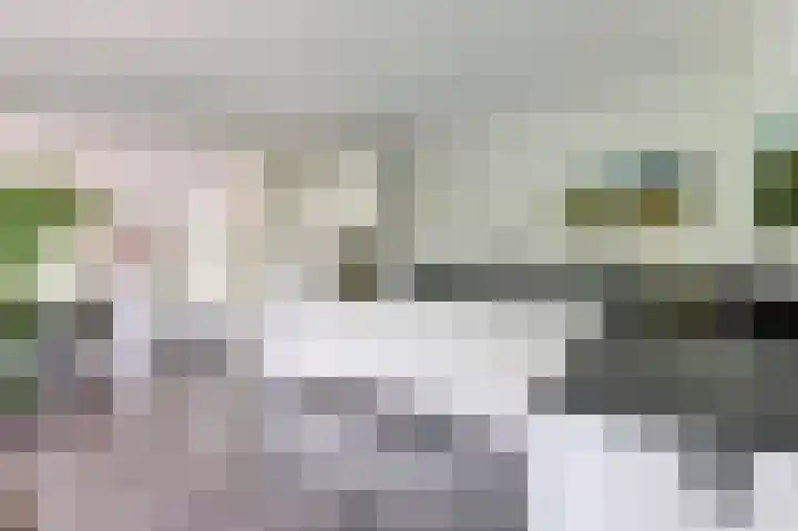 De Schepel 48 Dronten thumbnail 11