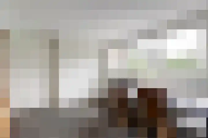 De Schepel 48 Dronten thumbnail 17