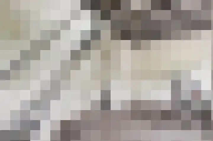 De Schepel 48 Dronten thumbnail 18