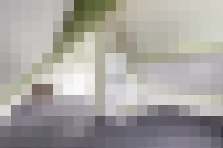 De Schepel 48 Dronten thumbnail 20